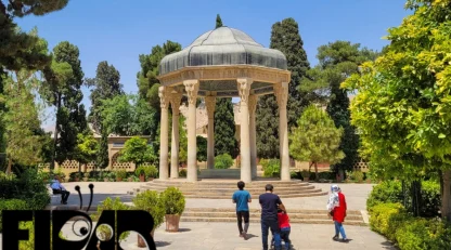 طراحی سایت در شیراز